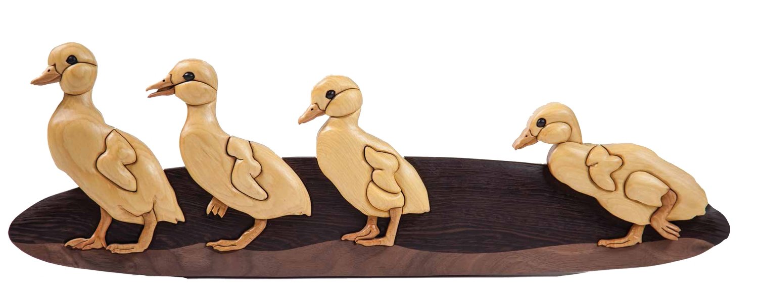 Ducklings in a Row pdf download