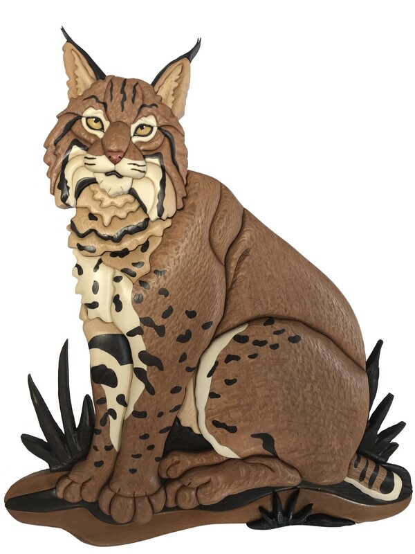 Sitting Bobcat pdf download