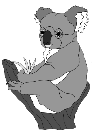 Koala #2 PDF Download