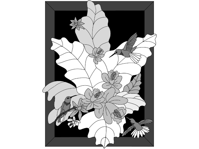 Hummingbirds PDF download