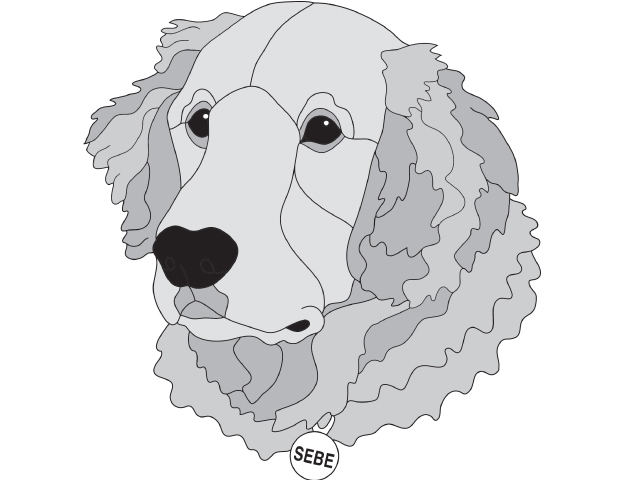 Golden Retriever #3 PDF download