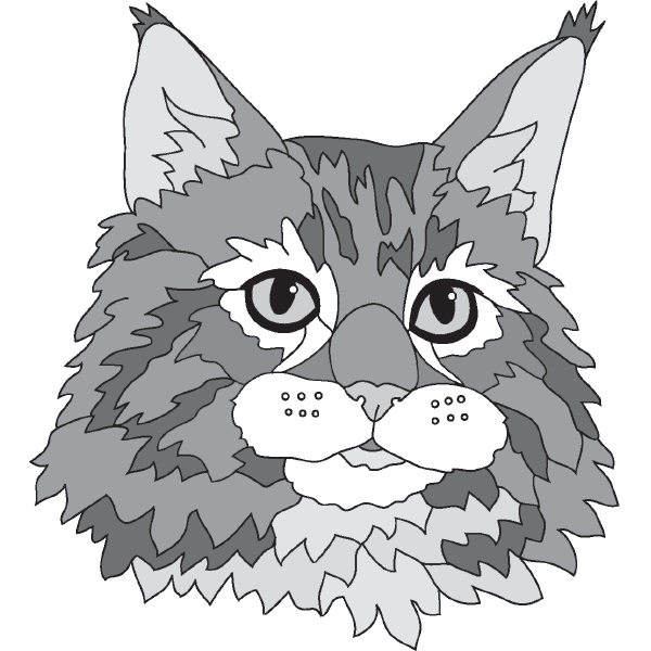Mainecoon Head PDF Download