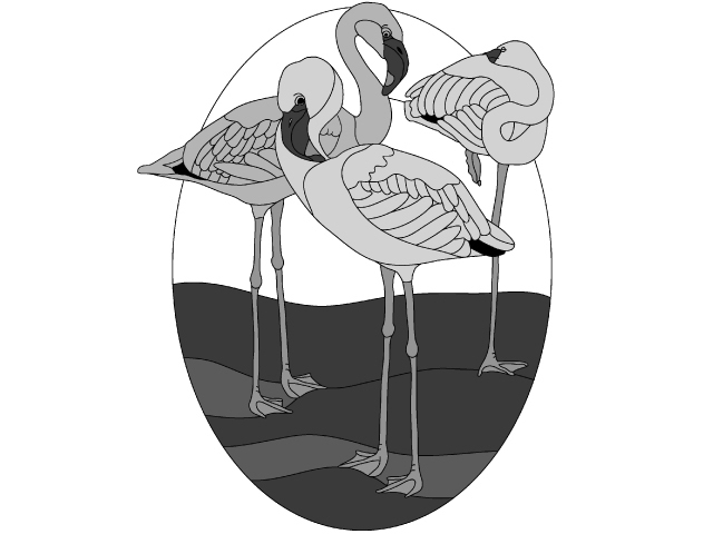 Flamingos PDF Download