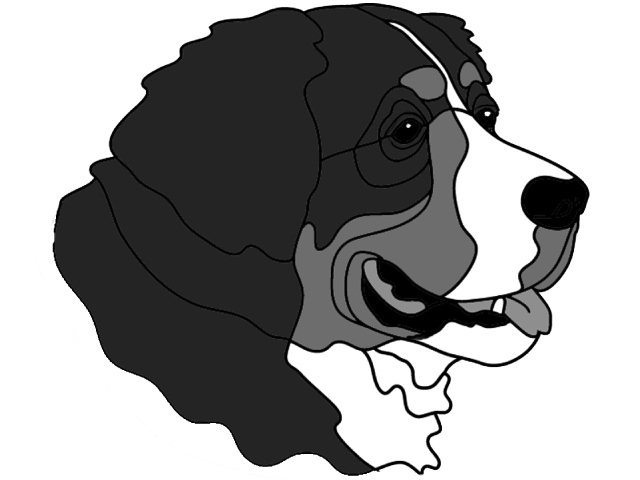 Bernese Mountain Dog Head PDF Download