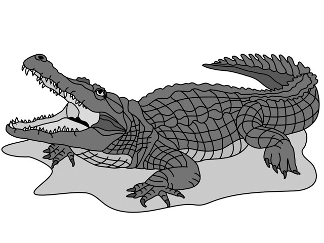 Saltwater Crocodile PDF Download