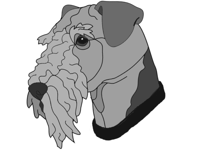Airedale Head PDF Download