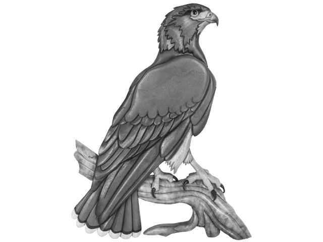 Red Tail Hawk #2 PDF Download