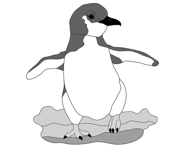 Fairy Blue Penguin PDF Download