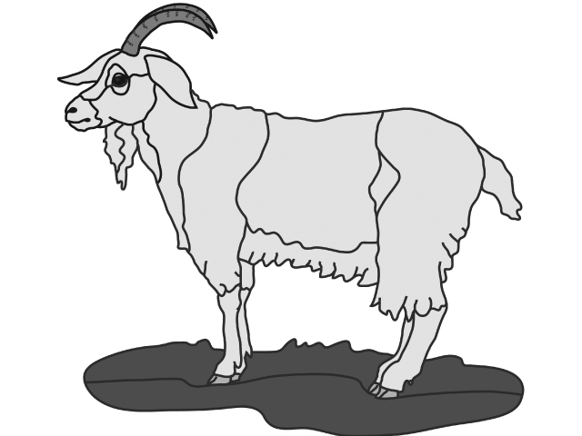 Goat PDF Download