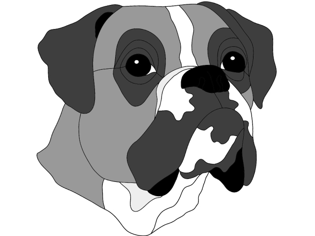Boxer Head PDF Download