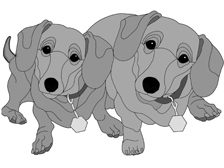Dachshund Buddies PDF Download
