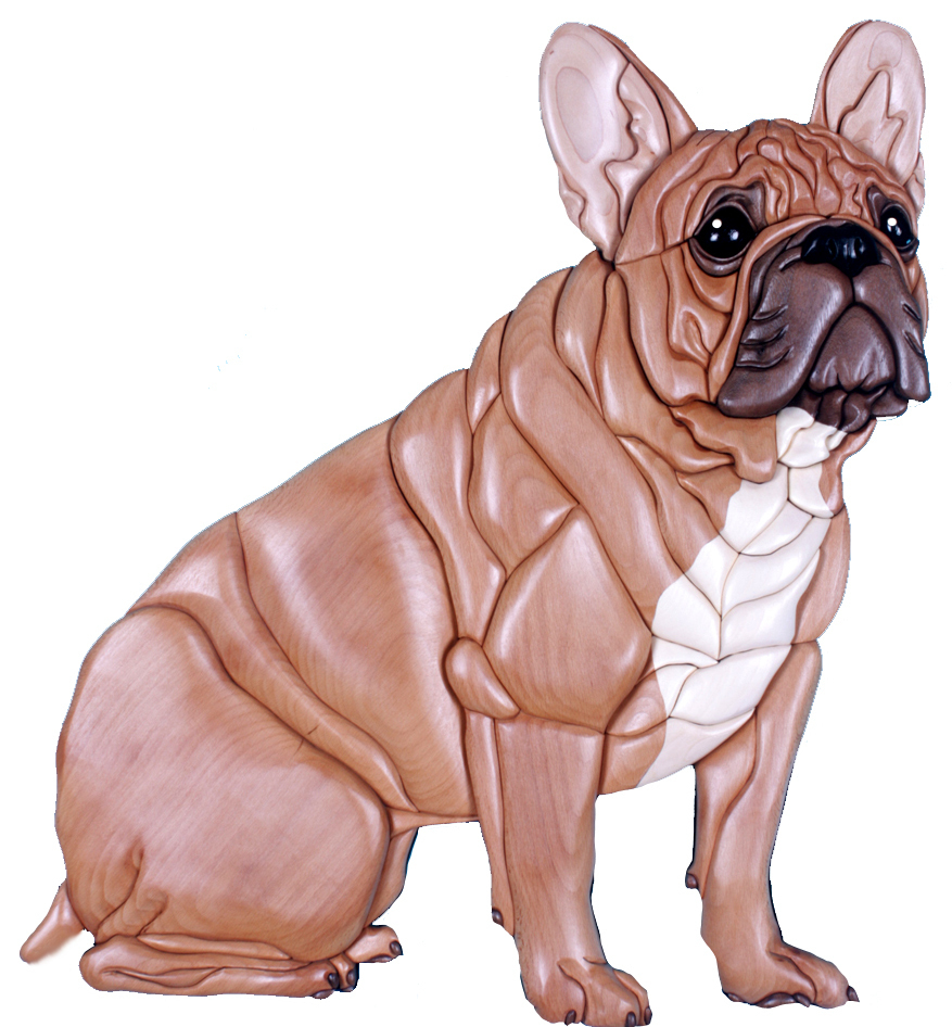 French Bulldog Sitting Lifesize PDF Download