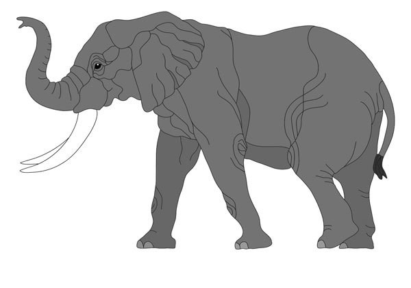 Bull African Elephant PDF Download