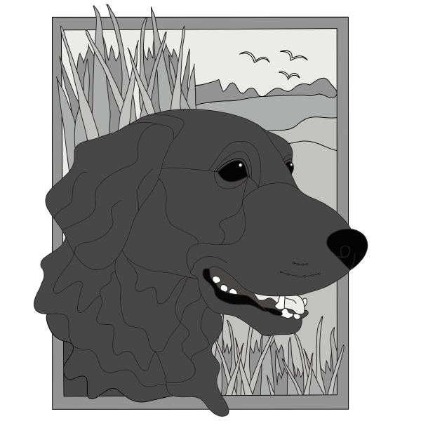 Hunting Flat Coated Retriever PDF Download