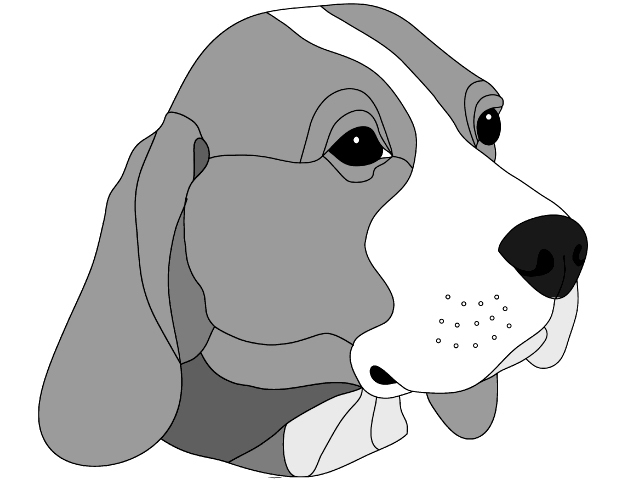 Beagle Head PDF Download