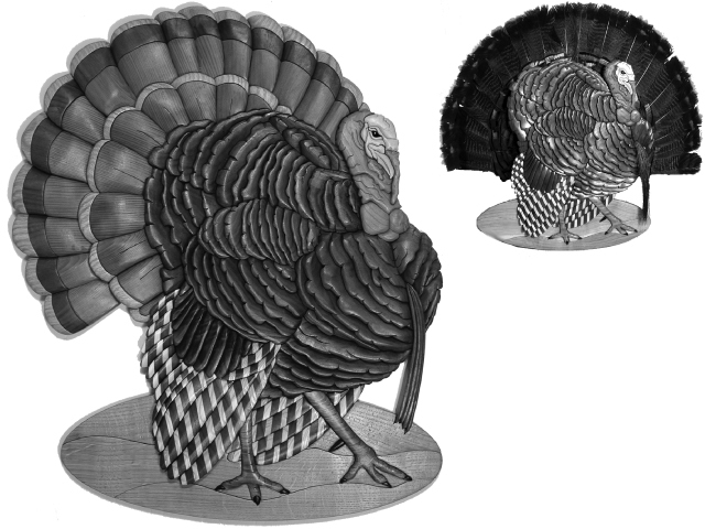 Wild Turkey Mount PDF Download