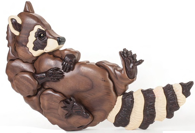 Lazy Raccoon PDF Download