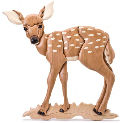 Spring Fawn PDF Download