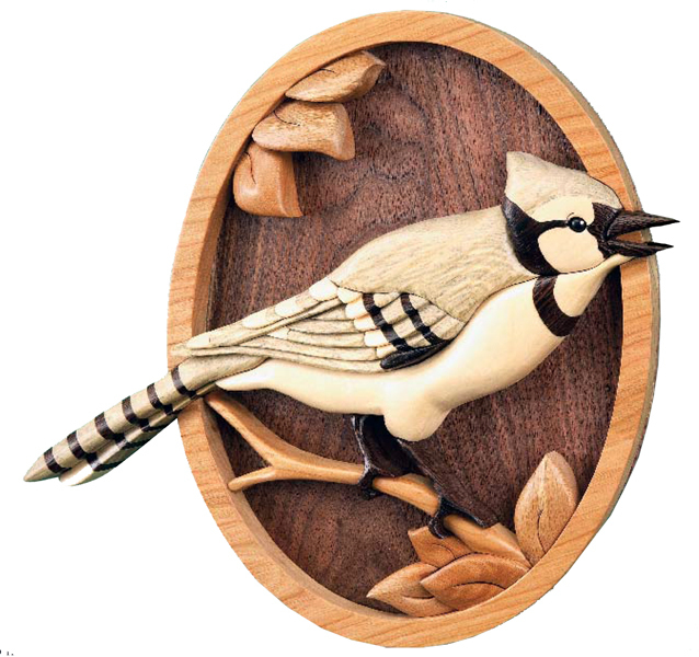 Blue Jay PDF Download