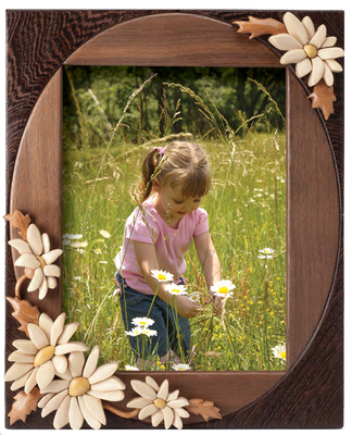 Daisy Frame PDF Download