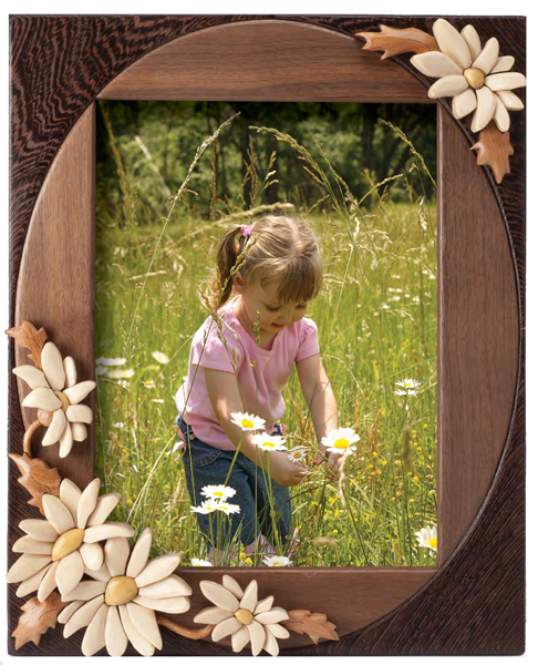Daisy Frame PDF Download