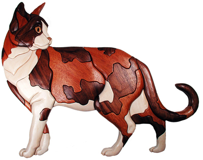 DOWNLOAD PDF Calico Cat