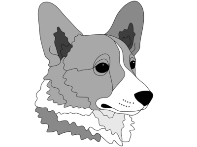 Pembroke Welsh Corgi Head PDF download
