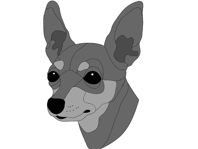 Miniature  Pincher Head PDF download
