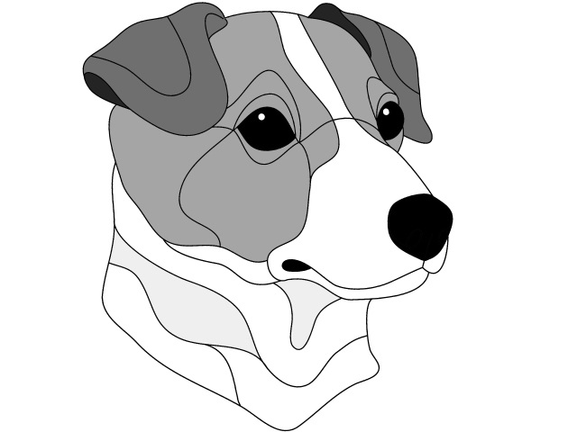 Jack Russell Terrier Head smooth pdf DOWNLOAD