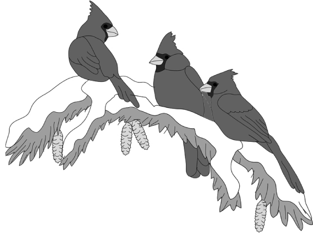 Cardinals on a Tree PDF Download