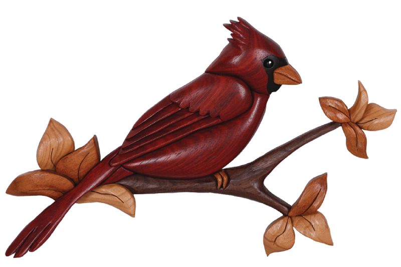 Single Cardinal on Branch PDF download