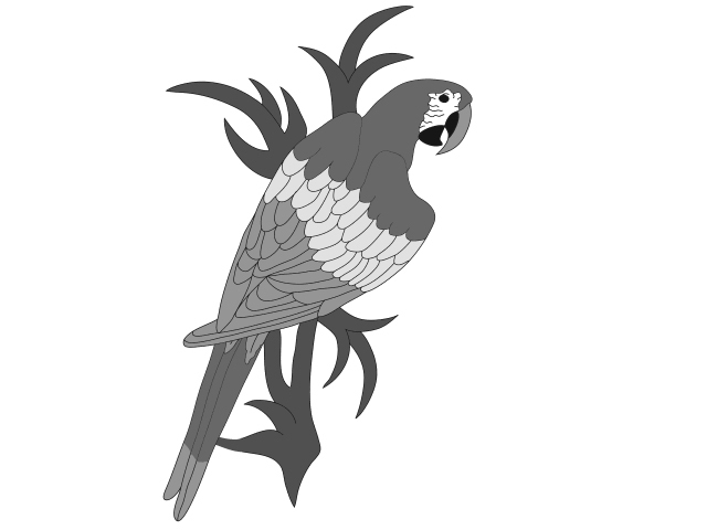 Macaw Parrot PDF Download