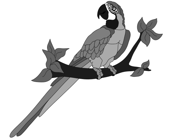 Macaw Parrot Single PDF download