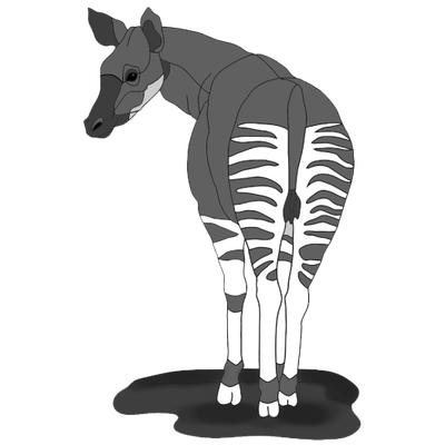 Okapi 2