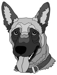 Belgian Malinois Head PDF Download