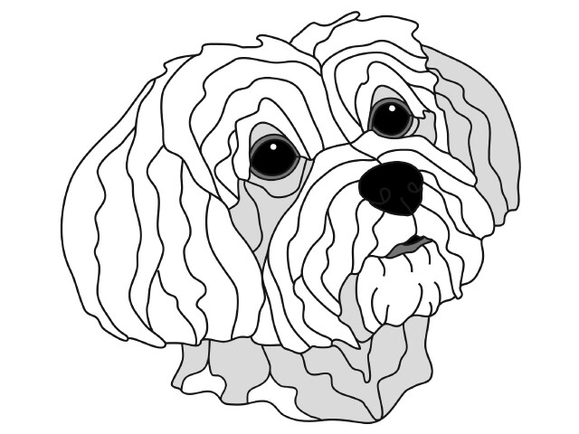 Maltese Head #2 PDF Download