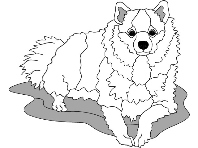 Lying Spitz PDF Download