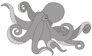 Octopus PDF Download