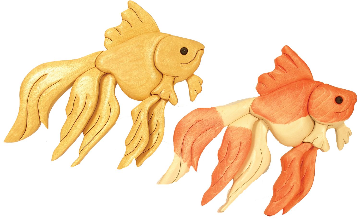 Goldfish Beginner PDF download