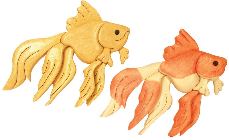 Goldfish Beginner PDF download