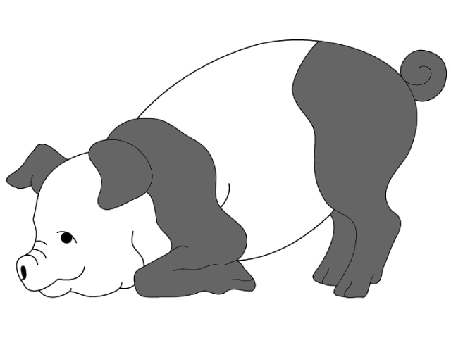 Beginner Pig PDF Download