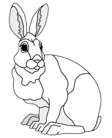 Snowshoe Hare pdf download red line