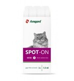 Spot-on Katze, 4,5ml 😺 - Amigard