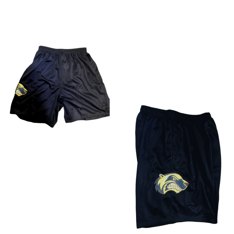 Wolverines Shorts