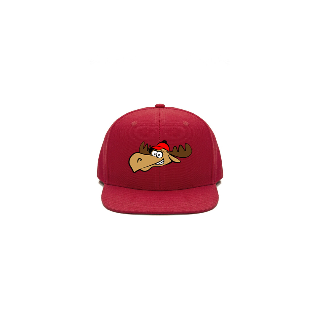 OnniBus Lippis