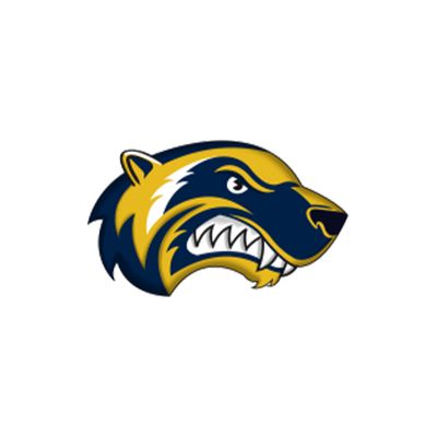 Helsinki Wolverines