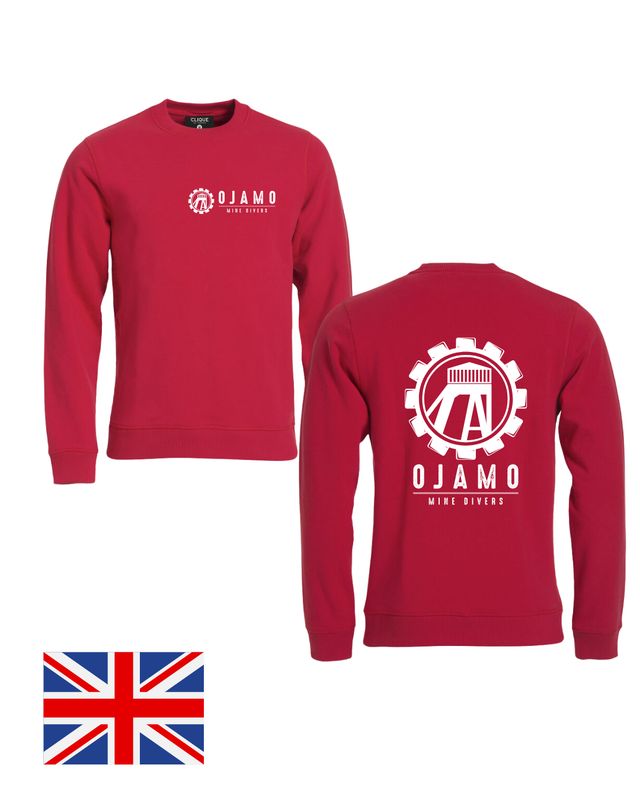 Ojamo College