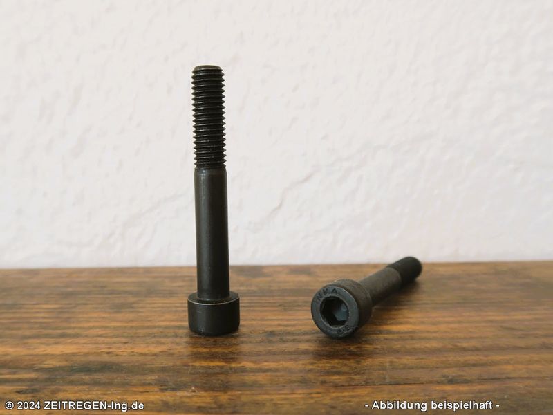 Zwei Zylinderschrauben Innensechskant INKA - M8 x 55 - 8.8