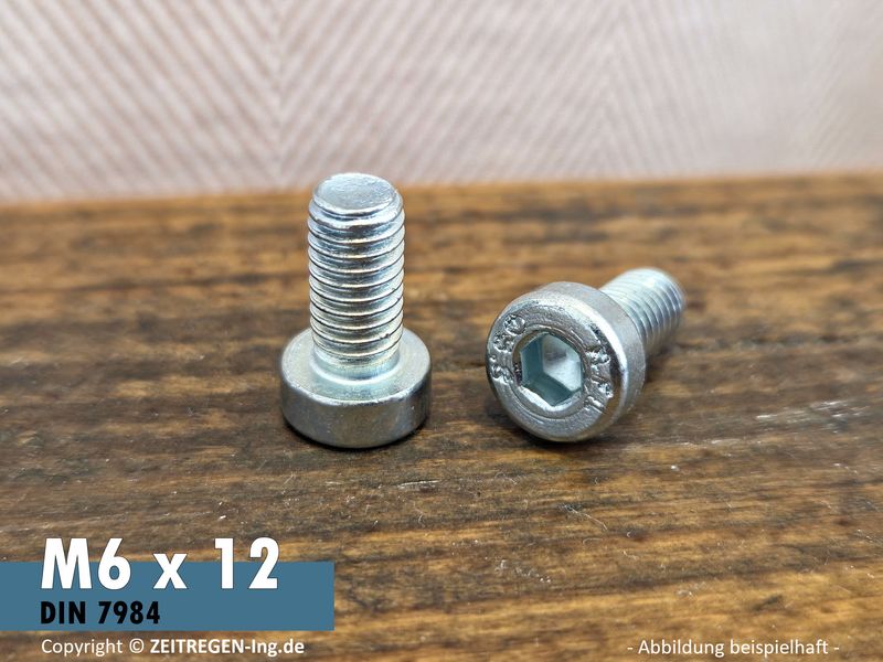 Zwei verzinkte M6 Zylinderschrauben mit 12 mm Länge, niedrigem Kopf und Innensechskant.