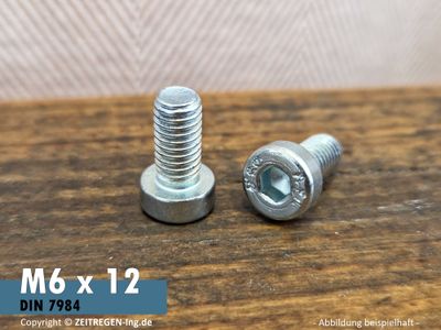 Zwei verzinkte M6 Zylinderschrauben mit 12 mm Länge, niedrigem Kopf und Innensechskant.